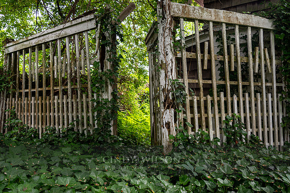 Another Green World, Horizontal