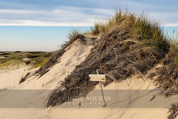 Sign in the Sand