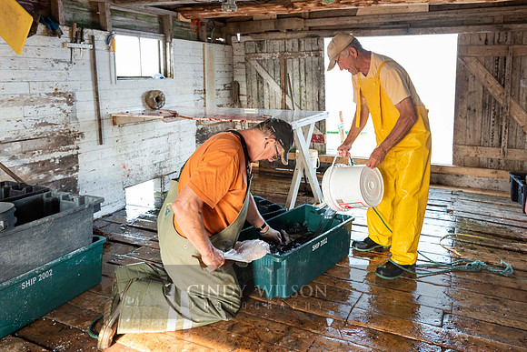 Inside a Fishing Stage, Joe Batt's Arm