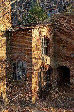 Light on Arched Windows, Wareham