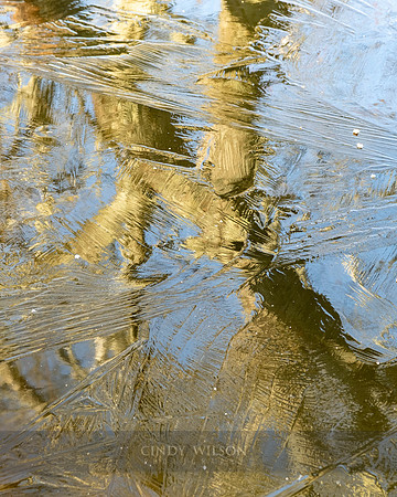 Cellophane Reflection