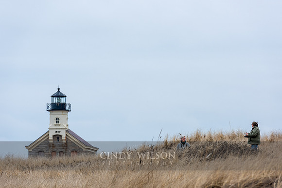 North Light Walk