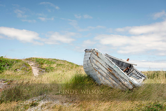 Swept Away, Twillingate
