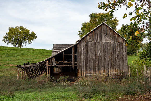 Decaying Barn, Side Elevation, Luray, VA