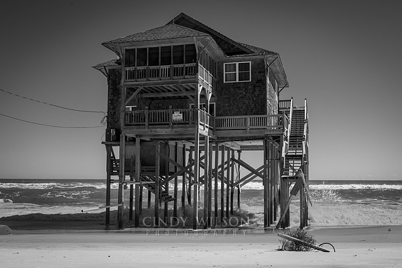 Rodanthe Goner