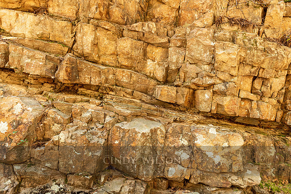 Rock Face, TN