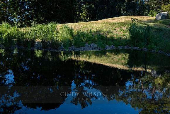 Golden Reflection, Roger Williams Park