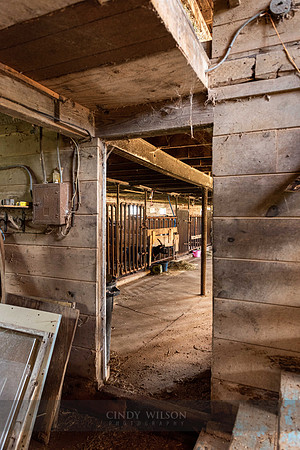 Through the Barn Door
