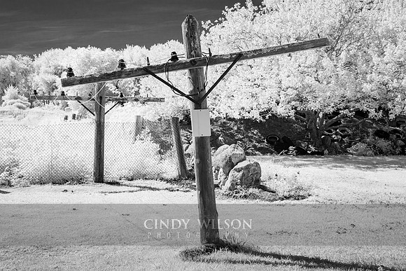 Clothesline, Ocean Breeze Farm