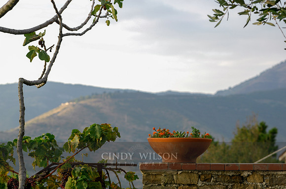 Fruit Bowl, San Mauro, 2009