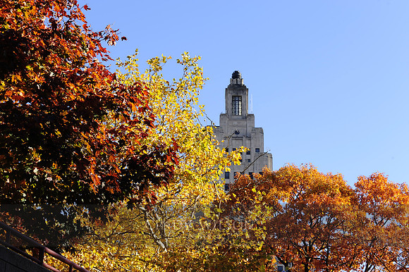 The Industrial Trust Tower with Foliage