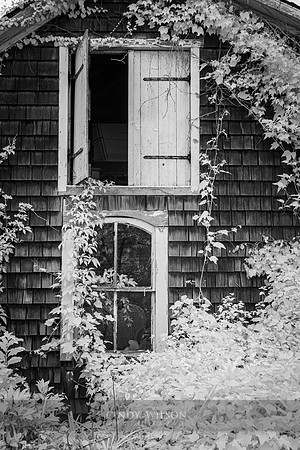 Barn Dressing, South Kingstown