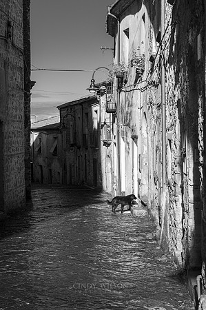 Perdifumo Streetscape, 2011