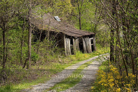 Old Shack