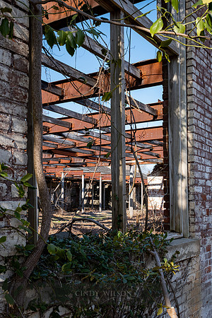 Looking In, Columbia Narrows