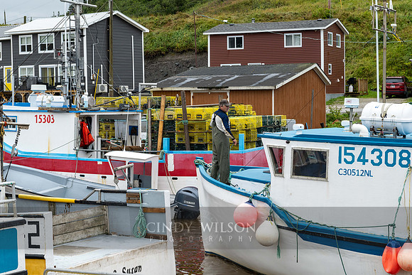 Fisherman Trout River