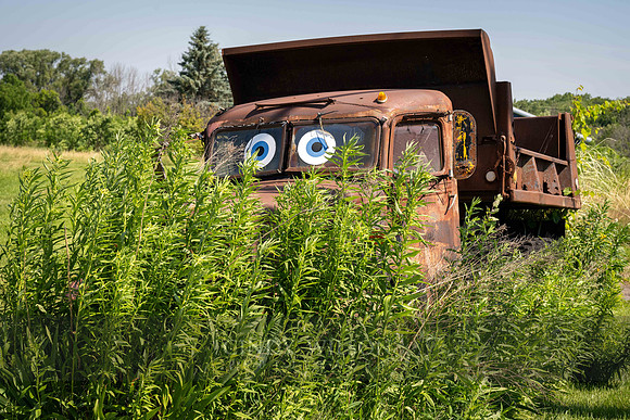Google Eyes, Bristol, NY