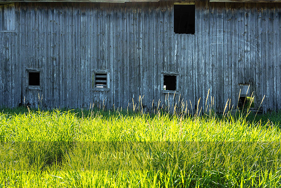 Michigan Barnside