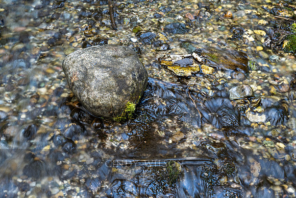 Streaming By