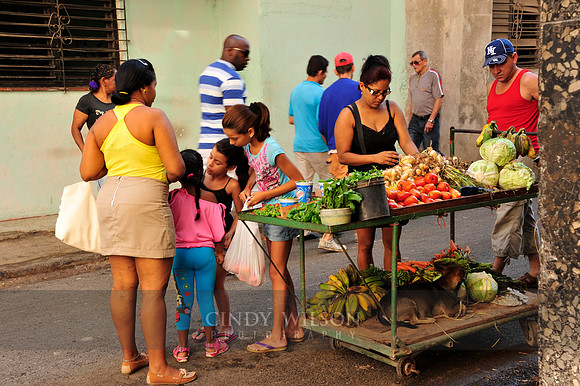 Fresh Veggies, Havana