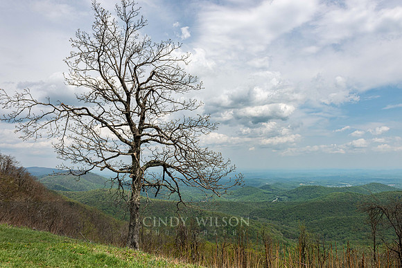 Vista, Blue Ridge Parkway