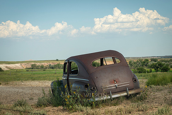 Roadside Attraction