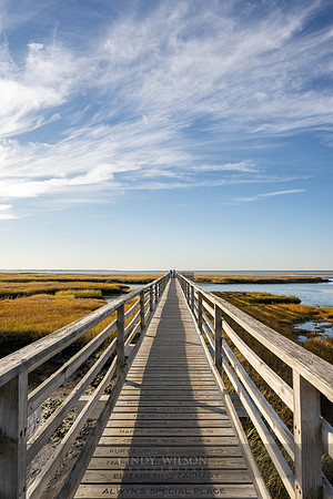 Boardwalk over the Marsh, Yarmouthport