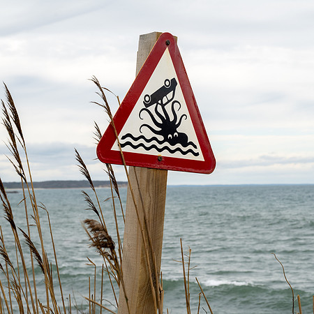 Beware of the Octopus!