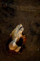 Resistance 1