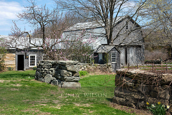 Cranberry Hill Farm, Foster