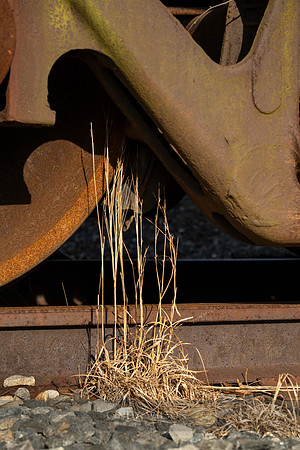 Rail Detail