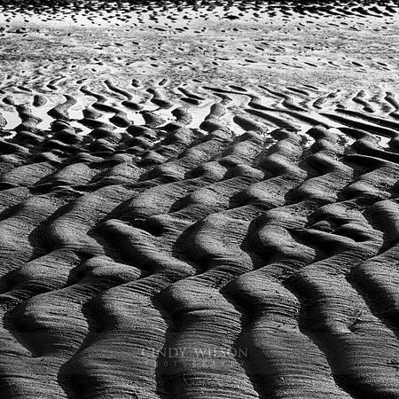 Sand Ribs, Paines Beach