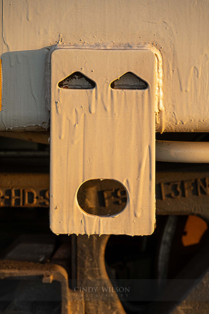 Train Face