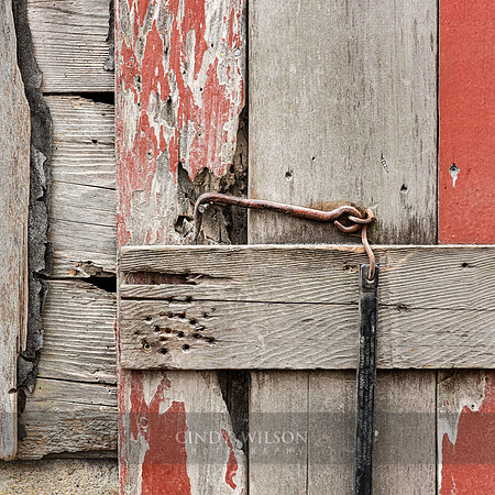 Shingle Collage