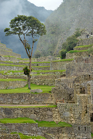 Machu Picchu 338