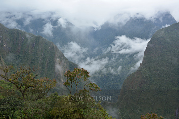 Machu Picchu 341
