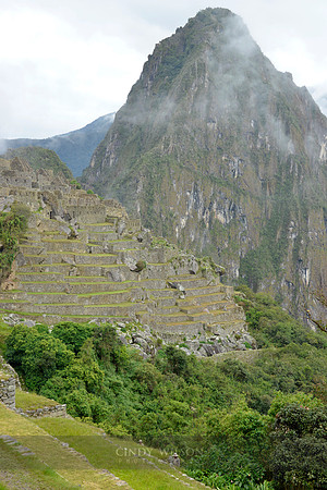 Machu Picchu 342