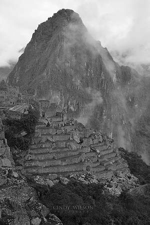 Machu Picchu 355