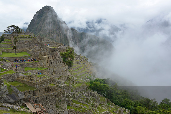 Machu Picchu 361