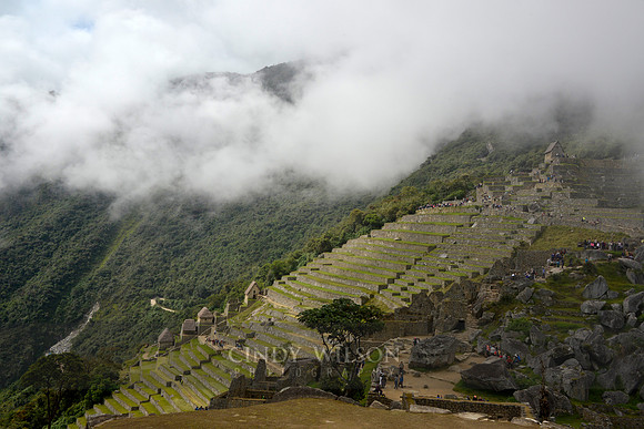 Machu Picchu 426
