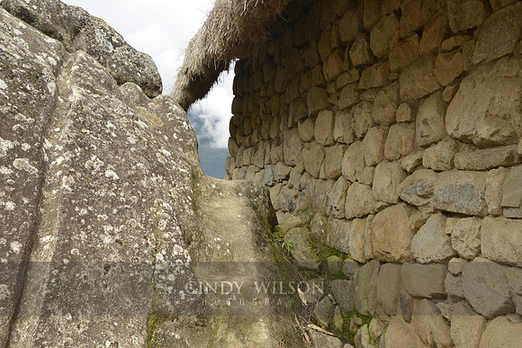 Machu Picchu 449