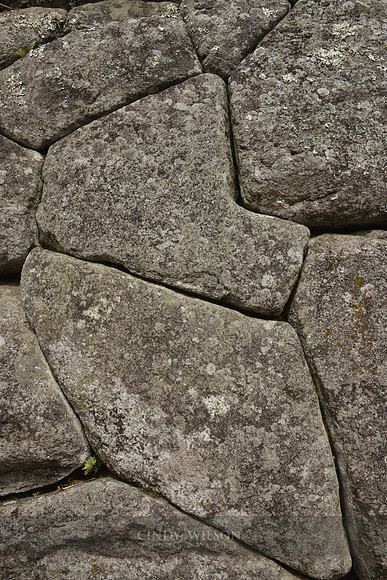 Machu Picchu 451