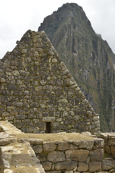 Machu Picchu 460