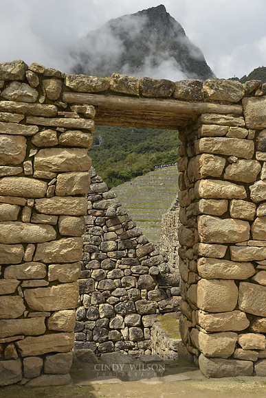 Machu Picchu 462
