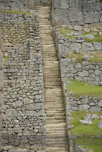 Machu Picchu 485