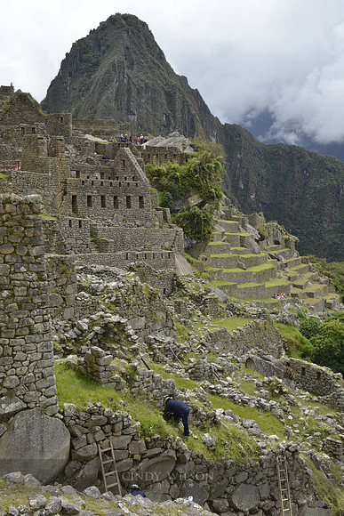 Machu Picchu 494
