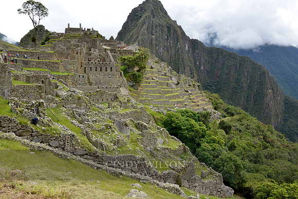 Machu Picchu 498