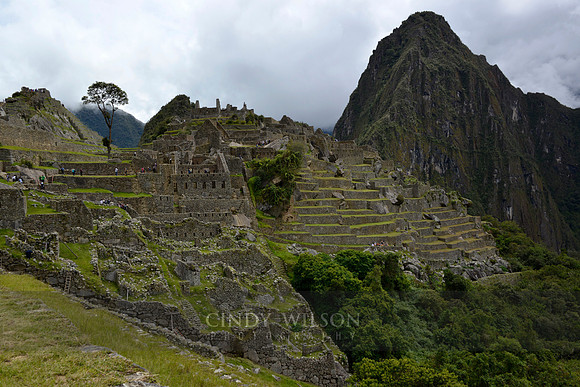 Machu Picchu 500