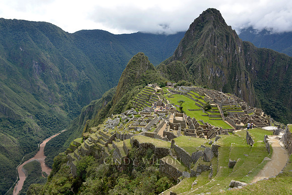 Machu Picchu 514