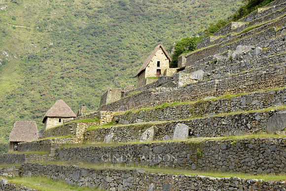 Machu Picchu 551